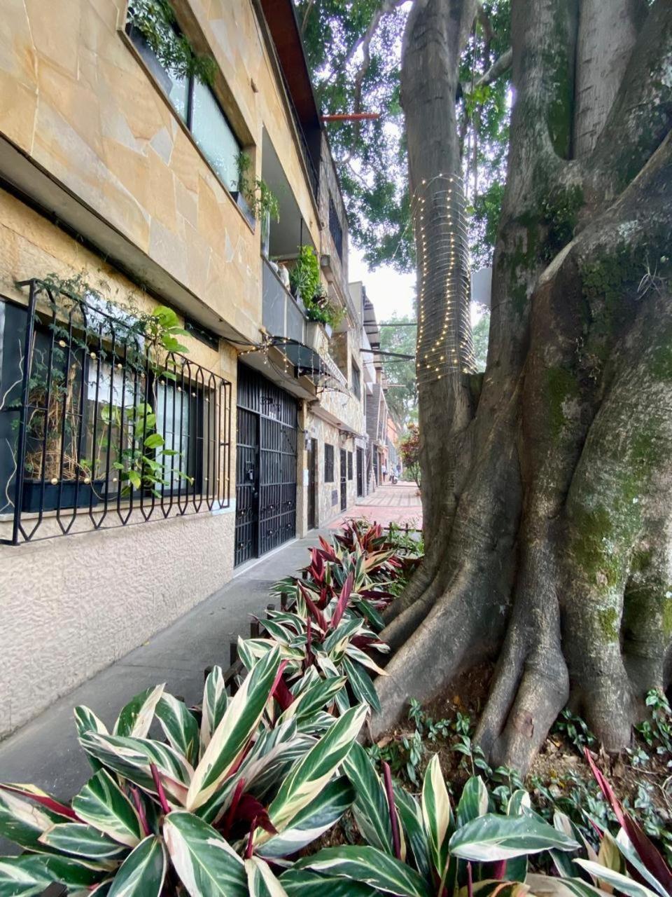 Apartment Acogedor Y Comodo Estadio Laureles